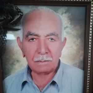 اسکندر ایران پور صغری فاضلی مهرآبادی، محسن مهدی پور