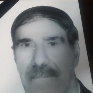 جواد کشتی دار