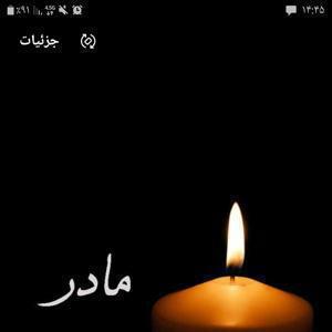 فاطمه حسن زاده