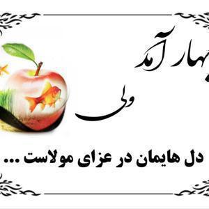 ماه مبارک رمضان و شهدای مقاومت و شهدای دانش آموز و شهدای خدمت