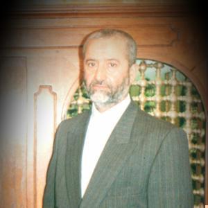 سید حسن سادات نژاد