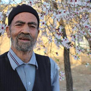حاج مهدی یاری