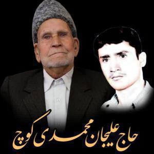 علیجان محمدی