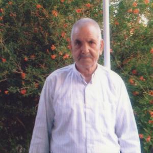 غلامحسین عباسی حسین آبادی