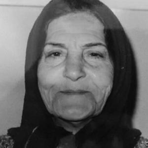 زینت فره
