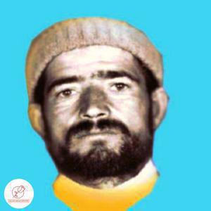 محمد حسین عباسی