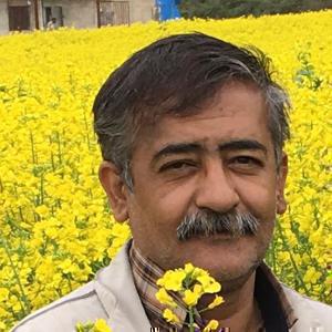 محمد عوض آبادی