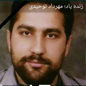مهرداد توحیدی
