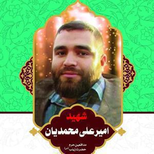 امیر علی محمدیان