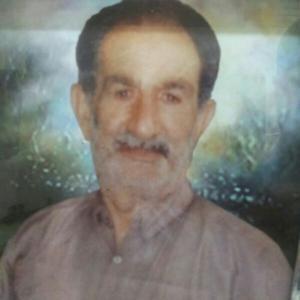 محمد حسین نیکخواه شهمیرزادی