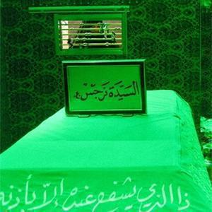 سلام الله علیها مادر امام زمان عجل الله تعالی فرجه الشریف