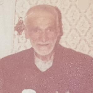 سیدرضا موسوی شکوفه