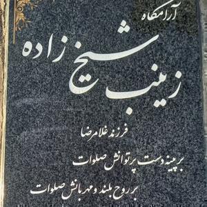 زینب شیخ زاده