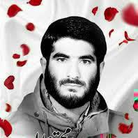 سید مجتبی علمدار